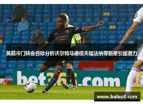 英超冷门转会目标分析沃尔特马德佳夫福法纳等新星引援潜力